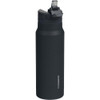 Dometic 1L Stainless Steel Straw Bottle