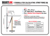 Selectlok Light/Medium-Duty Stainless Steel Gas Strut  - Extended Length 315mm 8mm Shaft
