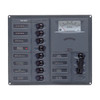 BEP 'Contour AC' Circuit Breaker Control Panels - Analogue Meter - 8+ Mains