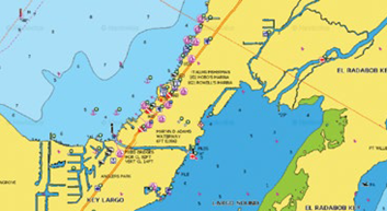 Carte Marine NAVIONICS CF/32XG/ROW – Australie, Occasion, Bon état