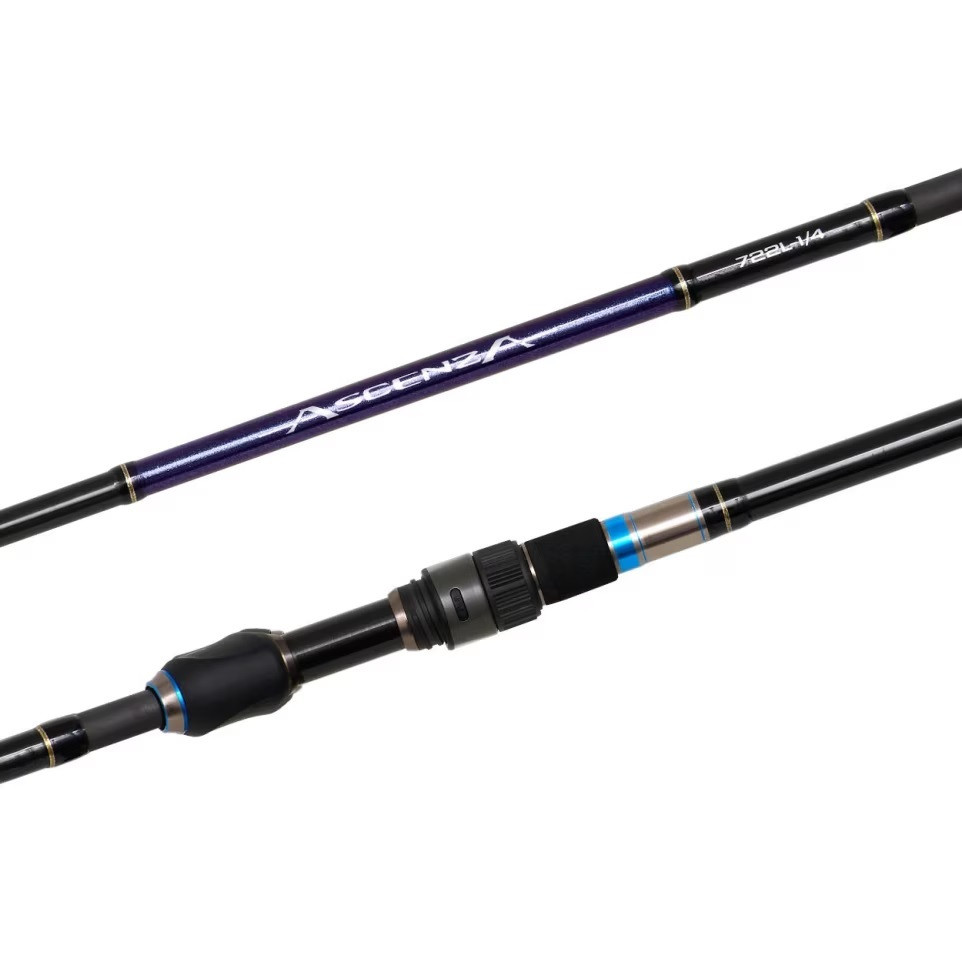 Shimano Ascenza | Blue Bottle Marine