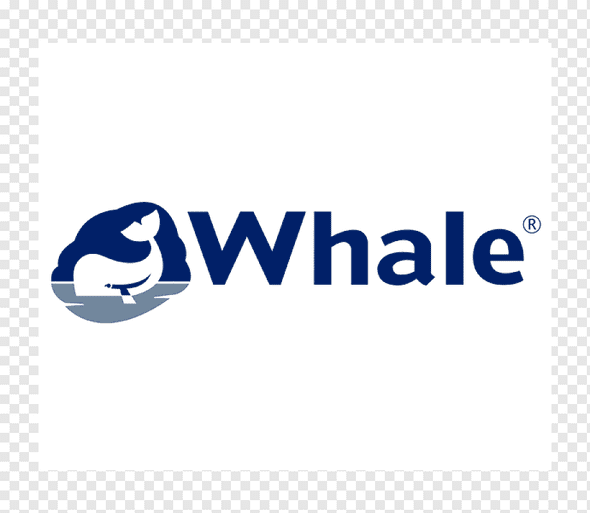 Whale Elegance Shower Hose Plastic 3/8" BSP