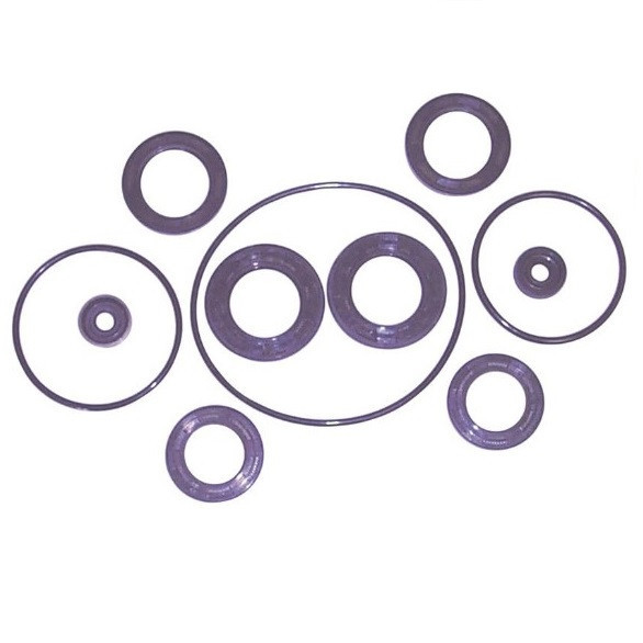 Sierra Lower Unit Seal Kit 18-8380