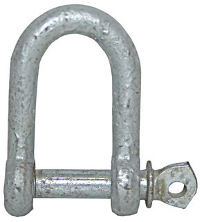 Shackle Galvanised Dee