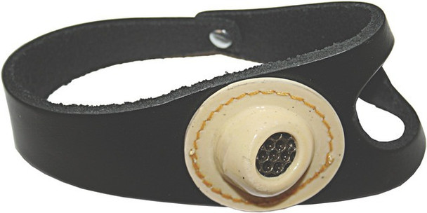 Sail Palm - Standard