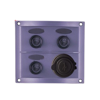 Switch Panel 3 Switch with USB Charger