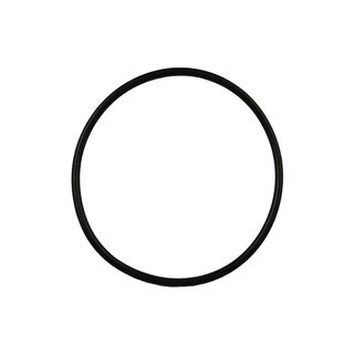 Jabsco O-Ring Suits Utility-Puppy Pumps X4020-257A