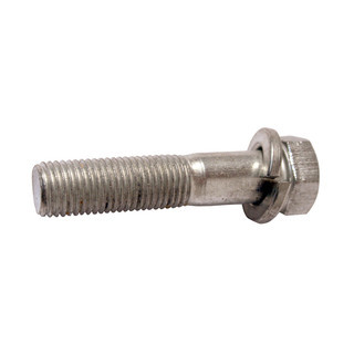 Mounting Bolt