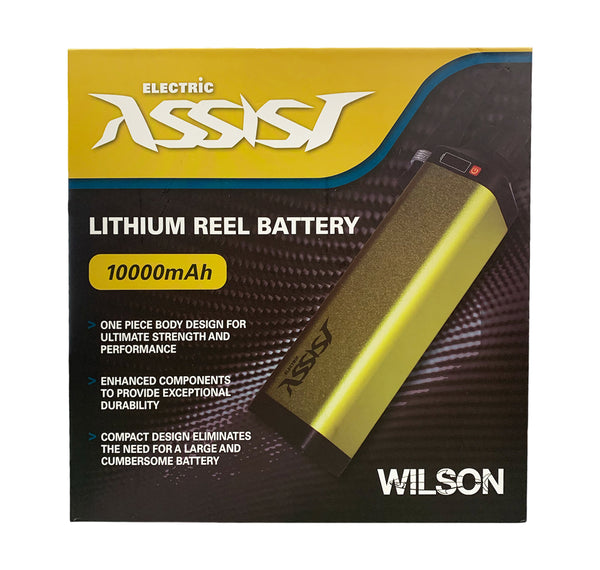 Wilson Electric Reel Assist Lithium Battery Blue Bottle Marine