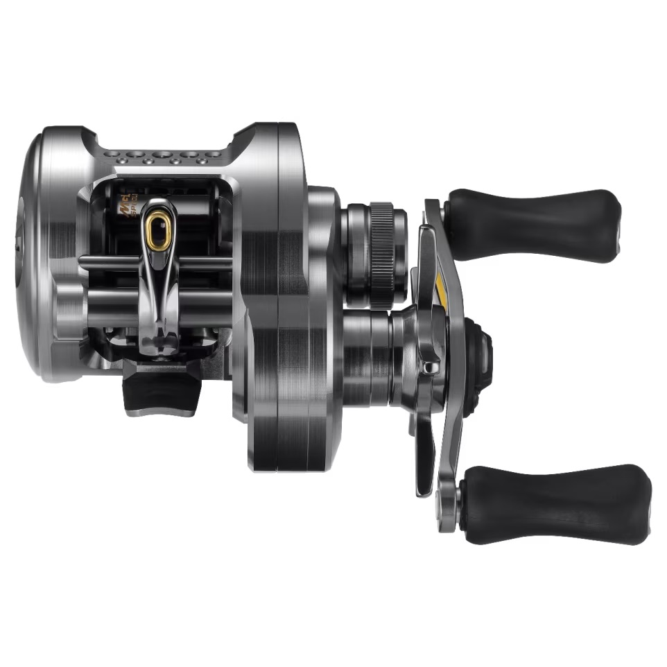 Shimano Calcutta Conquest BFS A | Blue Bottle Marine