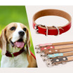 Genuine Cow Leather Dog Pet Puppy Cat Collar Neck Buckle Neck Strap Adjustable