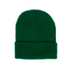 GREEN Adult Beanie HATM452-8