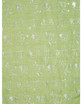 GREEN All Season Ladies Scarf Scarf SC1862-3