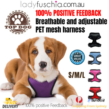 Soft  Mesh Dog Harness