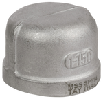 304 SS150# Thrd MSS Hex Plug