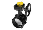 Series 8700 Offset Disc Butterfly Valve