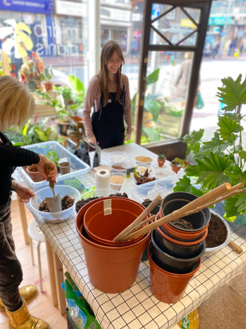 Repotting Party #3 Sunday 28th April