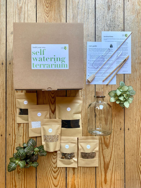 Self-watering terrarium kit