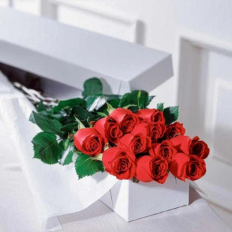 One Dozen Roses in a box