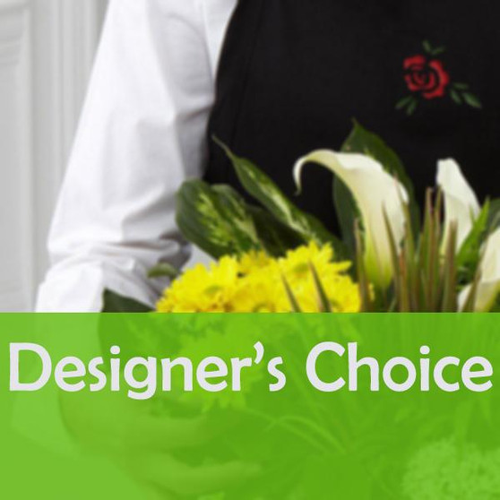 Dish Garden - Designer's Choice