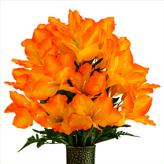 Medium Orange Amaryllis Cone