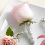 The Pink Rose Boutonniere