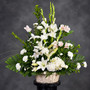 Peaceful Spark Basket Standard