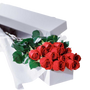 Dozen Boxed Roses