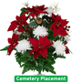 Red Poinsettias with White Mums Holly and Pinecones