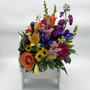 Dog Days Arrangement