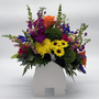 Dog Days Arrangement