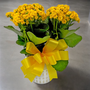 Flaming Katy (Kalanchoe)