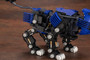 ZD159_ZOIDS_RZ-007 SHIELD LIGER MARKING PLUS Ver.