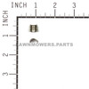Briggs and Stratton OEM 494553 - KEEPER-VALVE Briggs and Stratton Original Part - Image 2