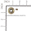 Briggs and Stratton OEM 499586 - KEEPER-VALVE Briggs and Stratton Original Part - Image 2