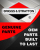 Briggs and Stratton OEM 66386GS - ASSY-BRUSH Briggs and Stratton Original Part