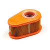 Briggs and Stratton OEM 792038 - FILTER-AIR CLEANER CA Briggs and Stratton Original Part - Image 1
