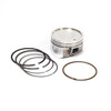 Briggs and Stratton OEM 843792 - PISTON ASSEMBLY Briggs and Stratton Original Part - Image 1