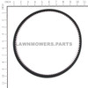 Briggs and Stratton OEM 1754209YP - V-BELT MULTISPEED Briggs and Stratton Original Part - Image 2
