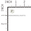 Briggs and Stratton OEM 703251 - NUT 1/4-20 Briggs and Stratton Original Part - Image 2