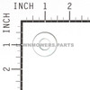 Briggs and Stratton OEM 703964 - WASHER FLAT Briggs and Stratton Original Part - Image 2
