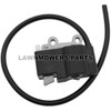 A411000502 - IGNITION COIL (PB-250) 19 - Echo -image7