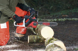 OREGON PowerNow Tools 40V MAX Chainsaw Cutting Montage 