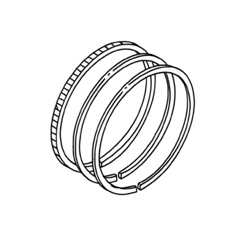 Briggs and Stratton OEM 799538 - RING SET Briggs and Stratton Original Part - Image 1