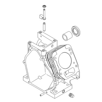 Briggs and Stratton OEM 699505 - CYLINDER ASSY Briggs and Stratton Original Part - Image 1