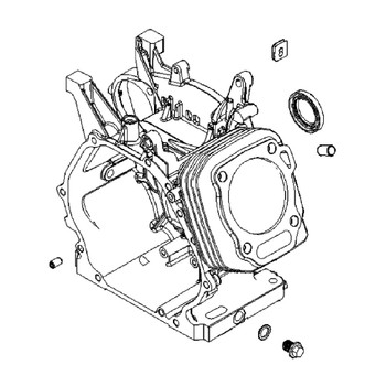 Briggs and Stratton OEM 593663 - CYLINDER ASSEMBLY Briggs and Stratton Original Part - Image 1