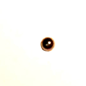 Kohler OEM 25 194 01-S - BALL - Kohler Original Part