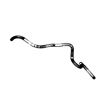 Kohler OEM 25 431 40-S - SLEEVE; ANTI ABRASION - Kohler Original Part