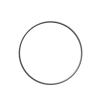 TORO 100-9113 - O-RING COVER - Original OEM part