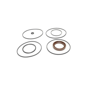 Scag OEM 48925 - SEAL KIT, HB MOTORS - Scag Original Part - Image 1